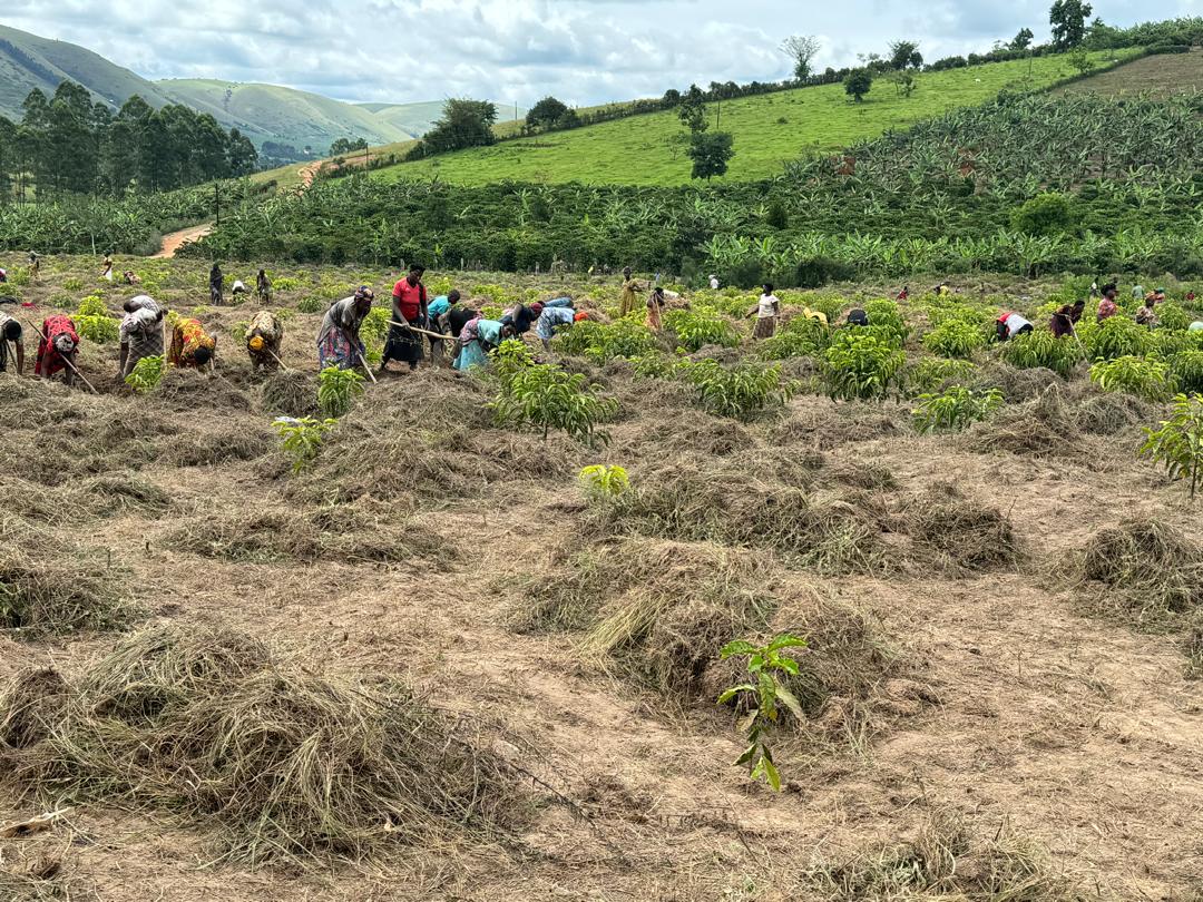 Tarl Eco Farms team and community